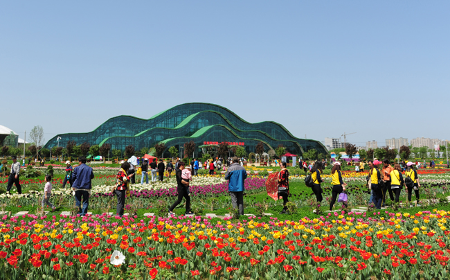 花博会繁花盛景，人气爆棚