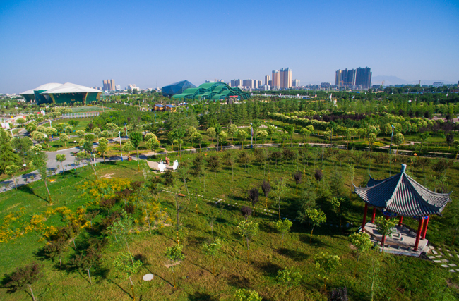 泾河智慧农业园全景
