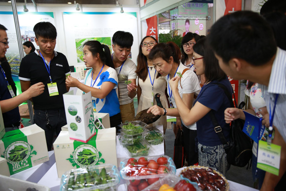 泾河新城冰草引关注