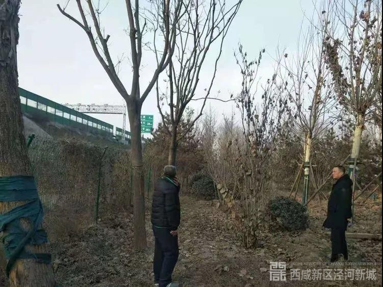 微信图片_20201231161436