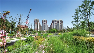 微信图片_20201105094503