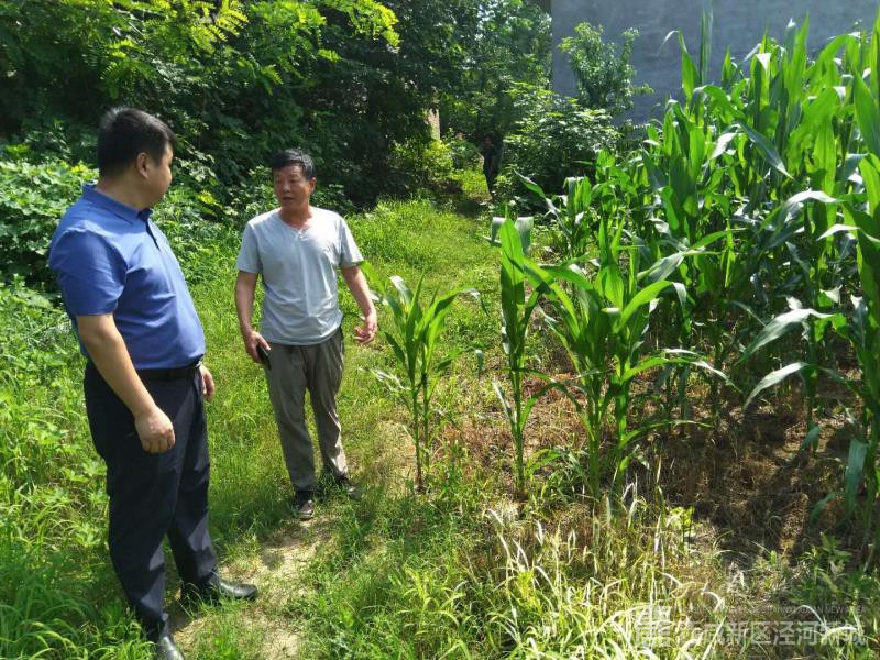 微信图片_20200812161306