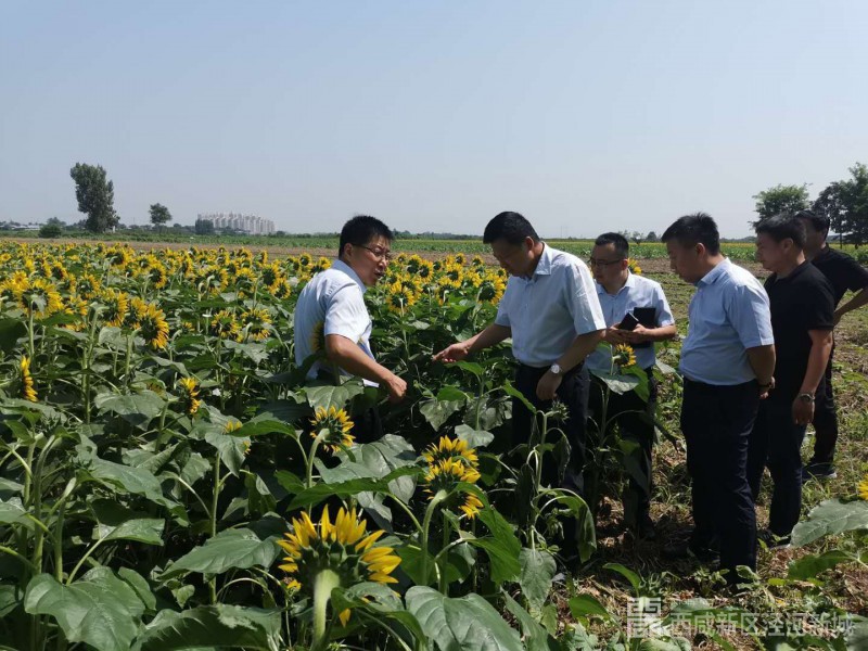 微信图片_202008111102432