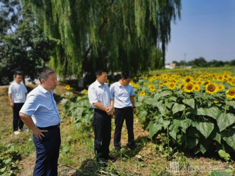 微信图片_20200811110243