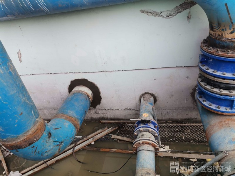 微信图片_202006291553545