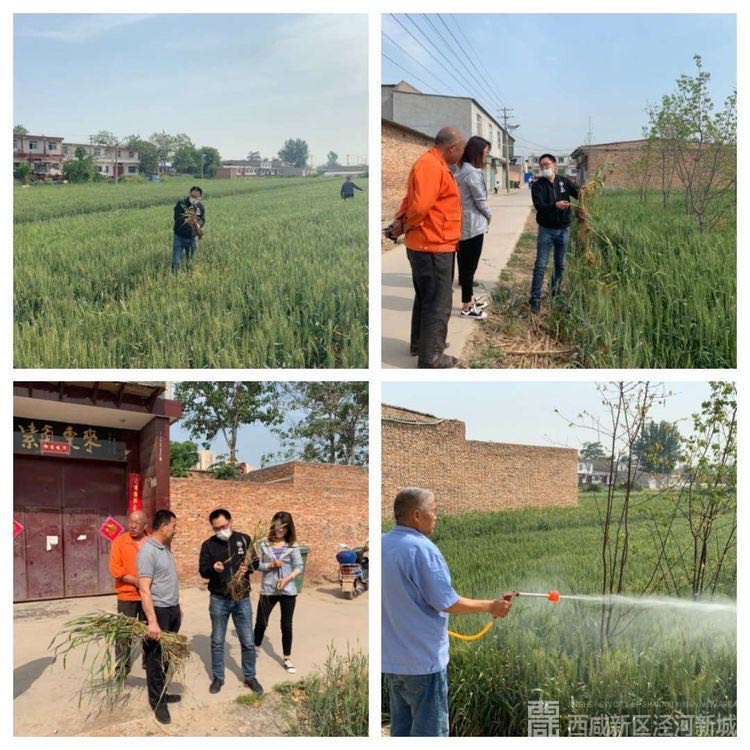 微信图片_202004301102491