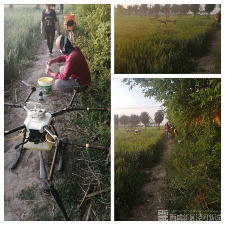 微信图片_202004301102492