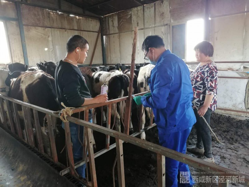 微信图片_202004291121394