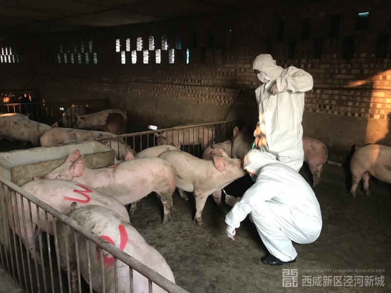 微信图片_2020042911213911