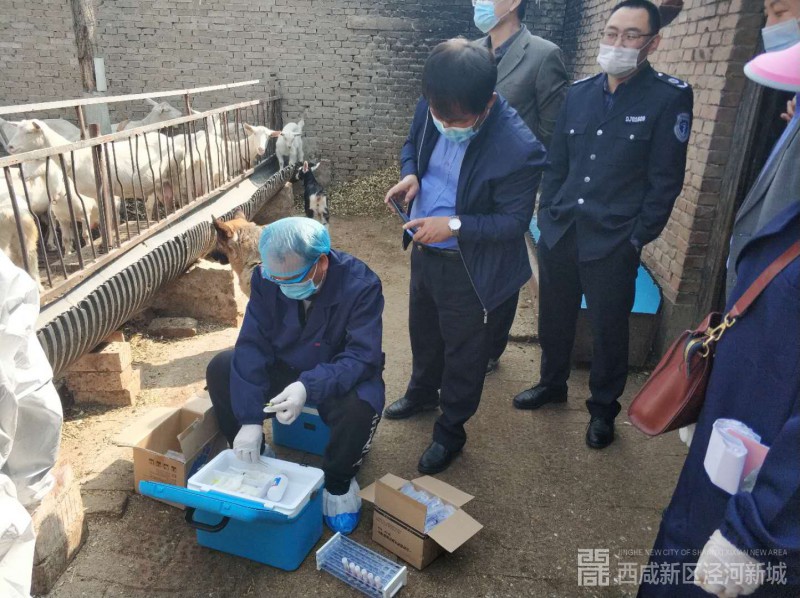 微信图片_202003261051414