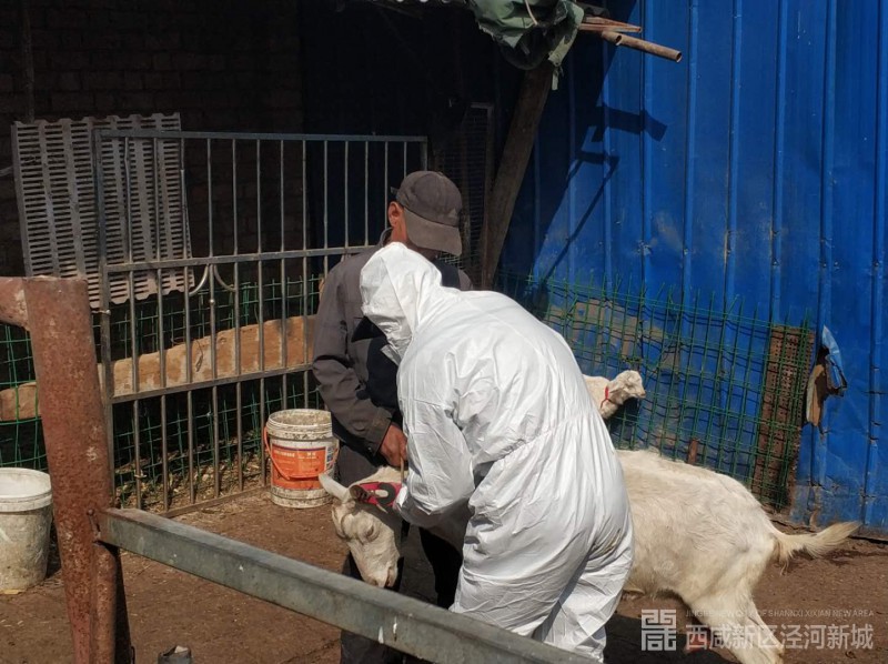 微信图片_202003261051415