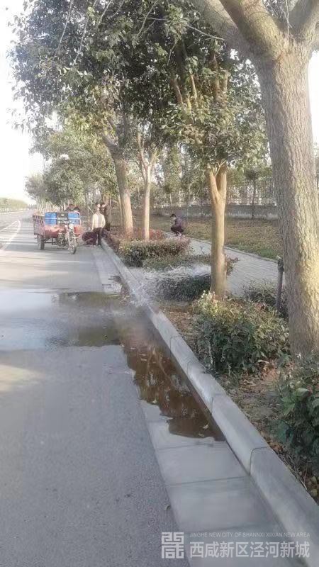 微信图片_201912131024363