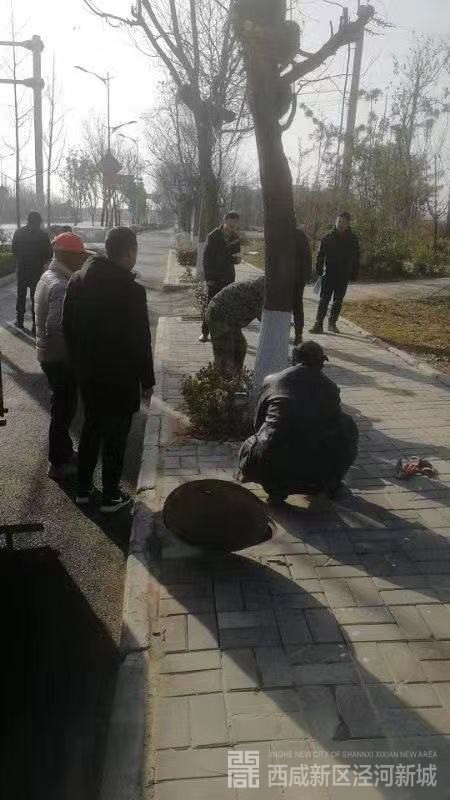 微信图片_201912131024361