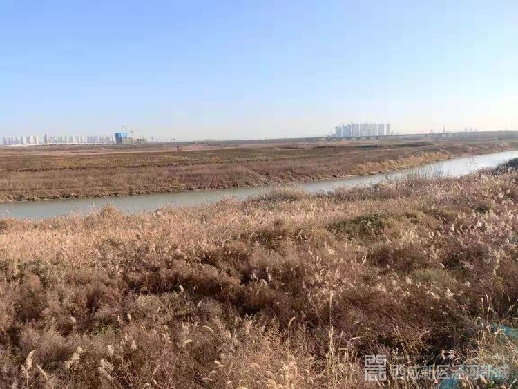 微信图片_20191205143516