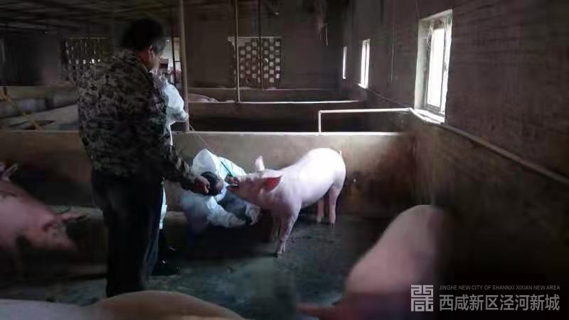 微信图片_20191126150427