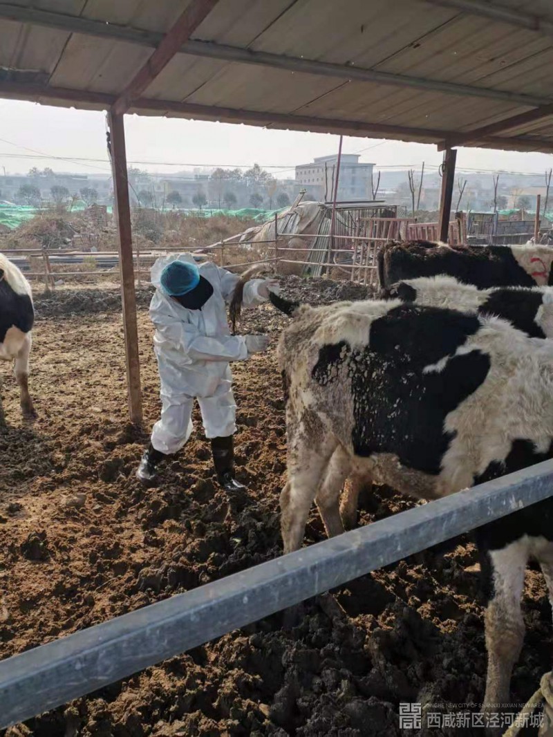 微信图片_20191126150436