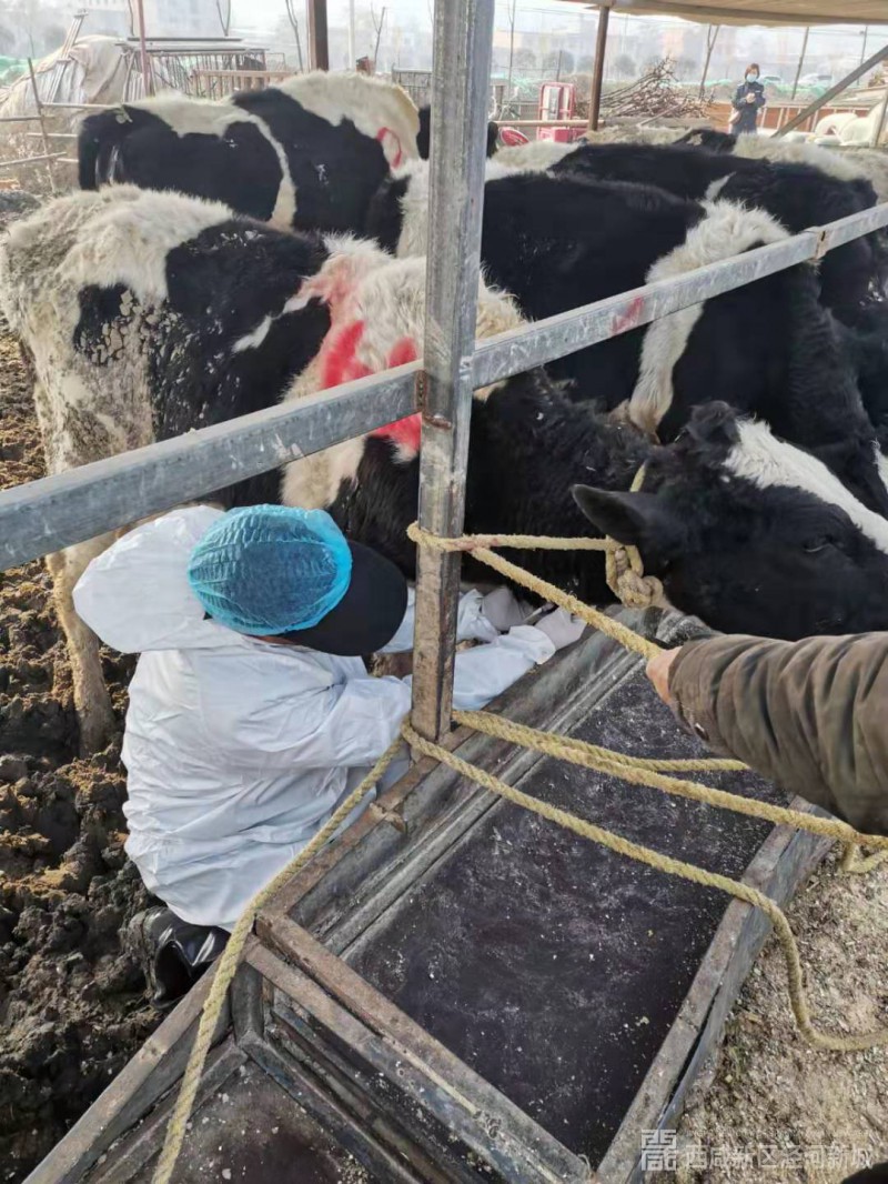 微信图片_20191126150432