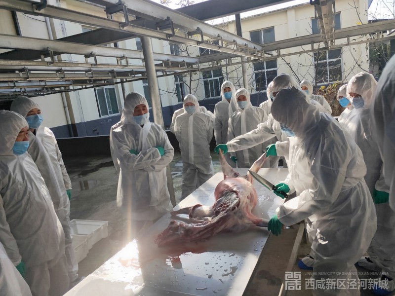 微信图片_201911201012571