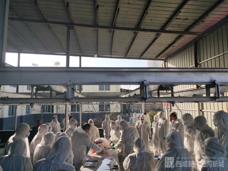 微信图片_20191120101257