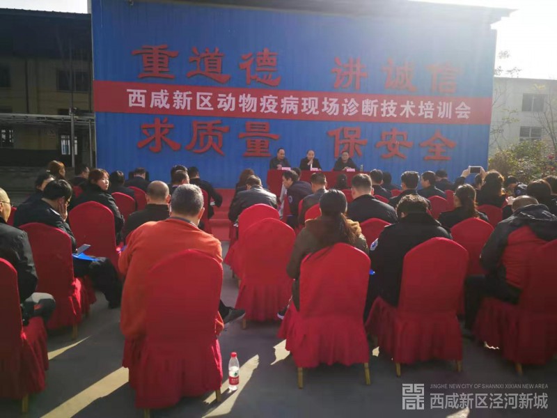 微信图片_20191120101258