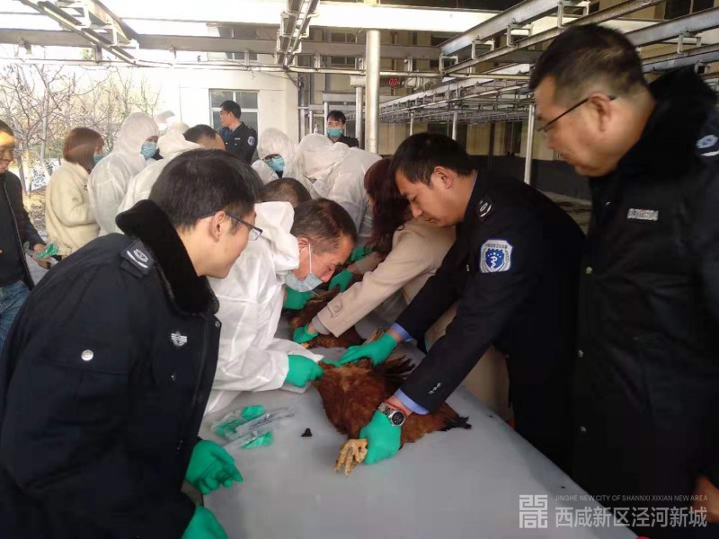 微信图片_201911201012582