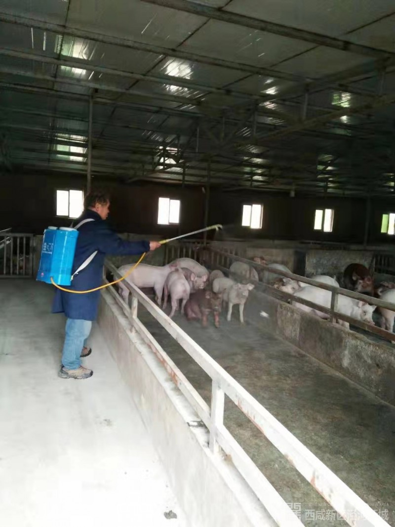 微信图片_20191111145049