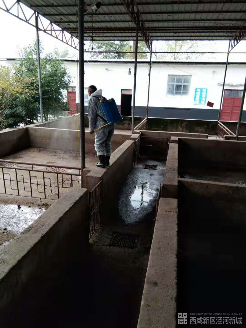 微信图片_20191111144928