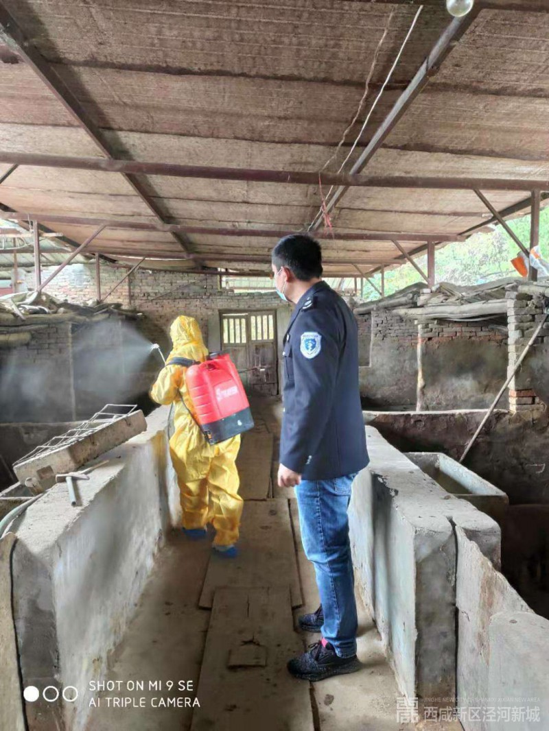 微信图片_20191111144906