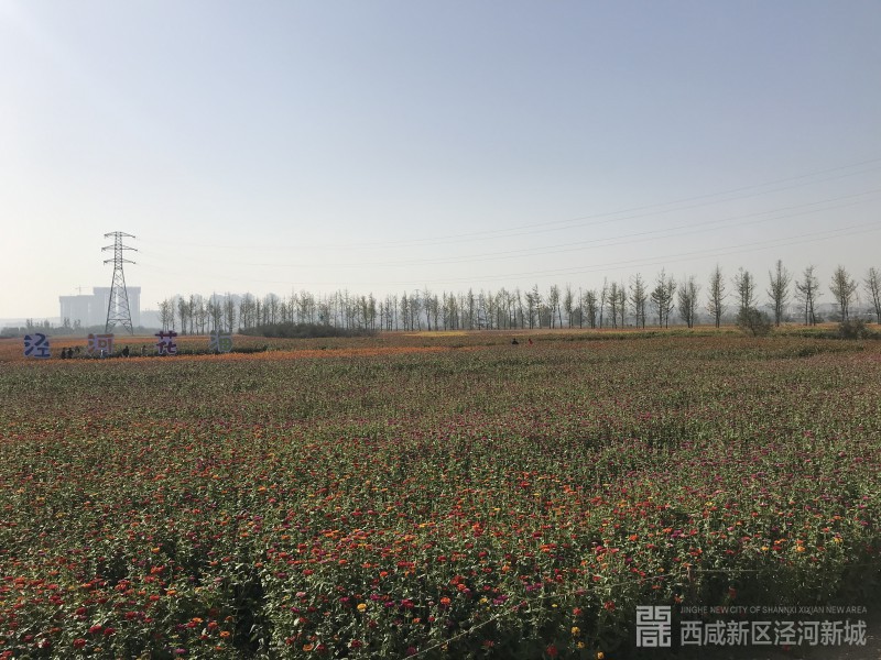 微信图片_20191031174753