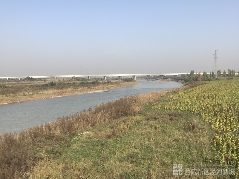 微信图片_20191031174742