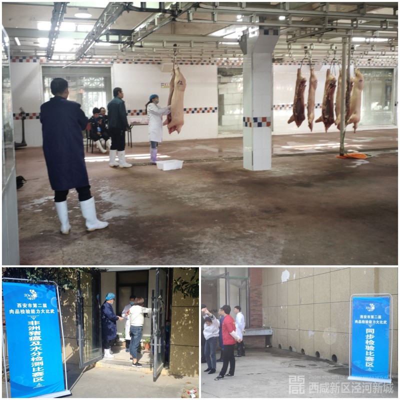 微信图片_20191031172425