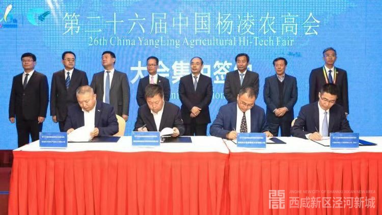 微信图片_20191029105338