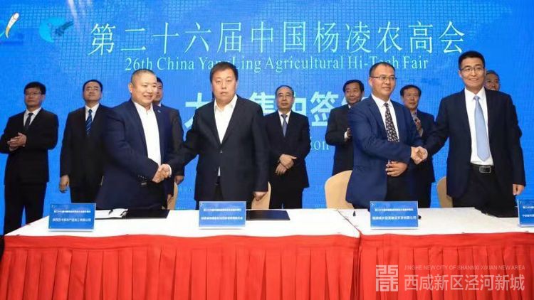 微信图片_20191023100758