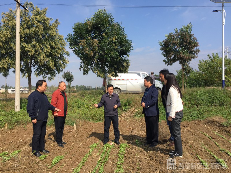 微信图片_20191017113102