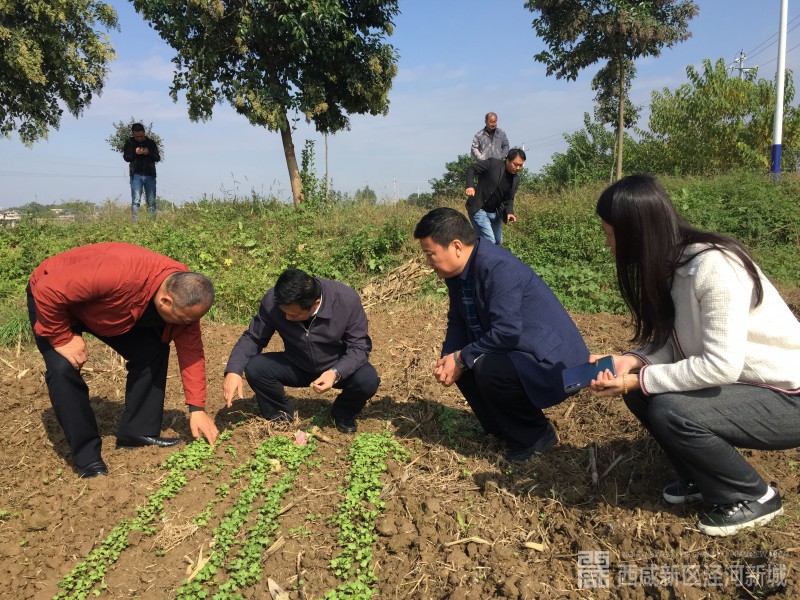 微信图片_201910171131021