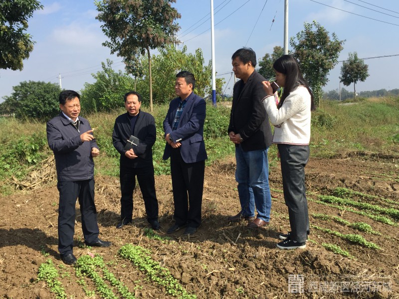 微信图片_201910171131022