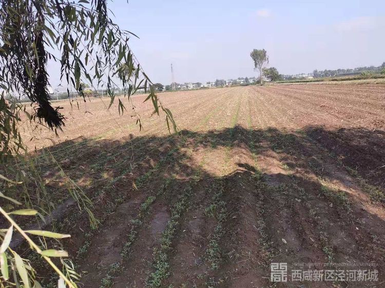 微信图片_20191017112958