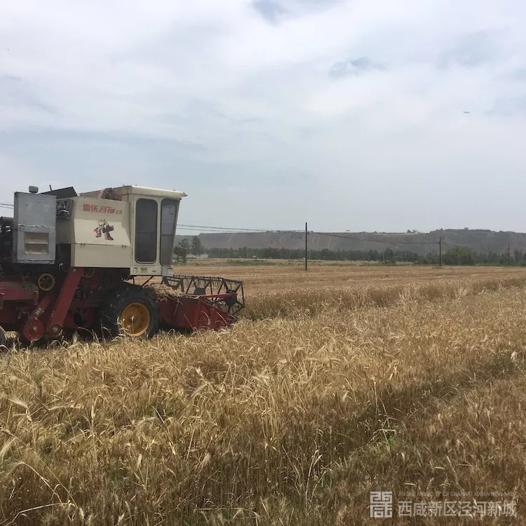 微信图片_20190605102952