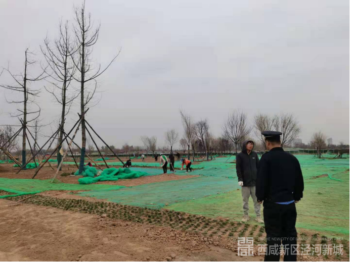 b5f755cc64cd80b0e3050501adf1de3f_80