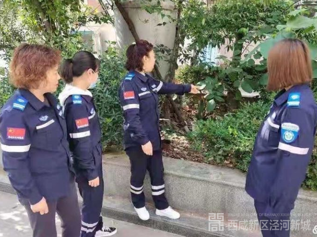 微信图片_20210531100313