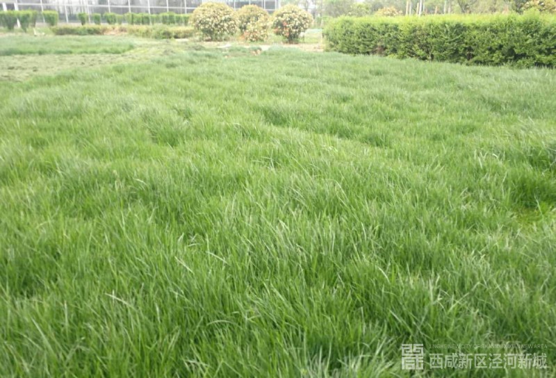 微信图片_20190524100305