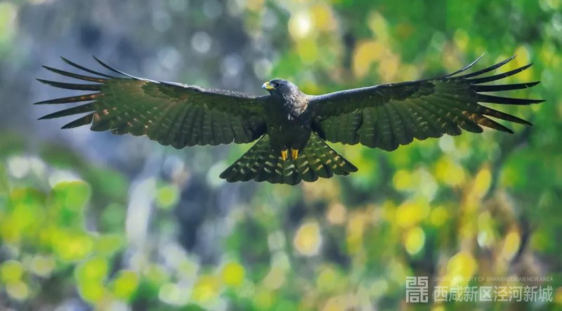 微信图片_20210317113032