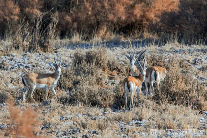 微信图片_20210107151203