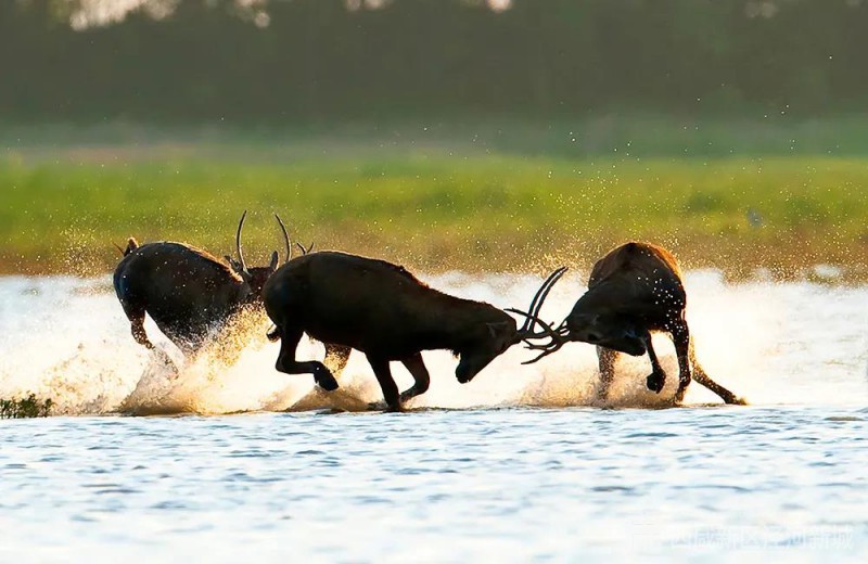 微信图片_20210106141827