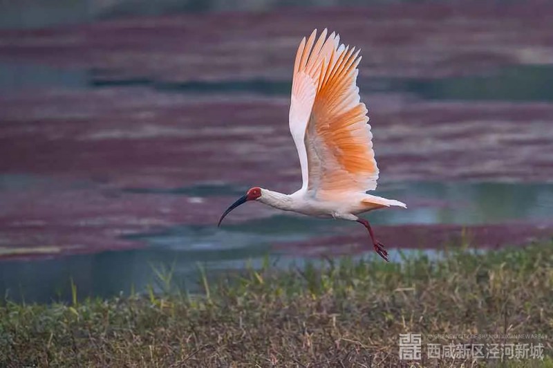 微信图片_20210106141613