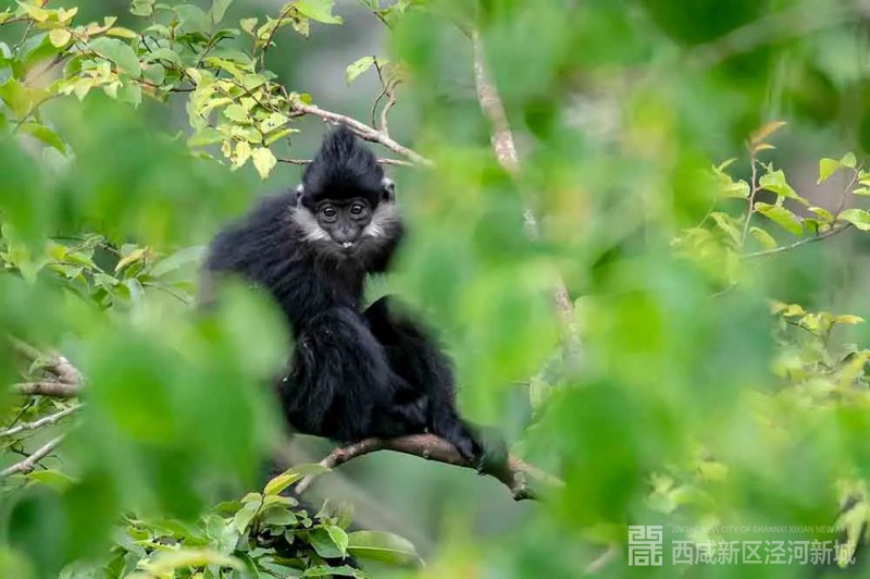 微信图片_20210106141833