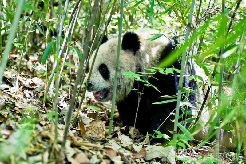 微信图片_20210106141605