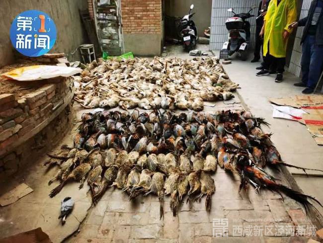 ▲警方提供照片