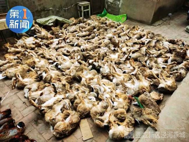 ▲警方提供照片