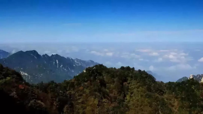 微信图片_20190410220322